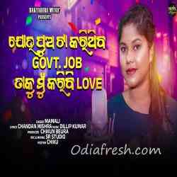 Govt Job Karibi Love